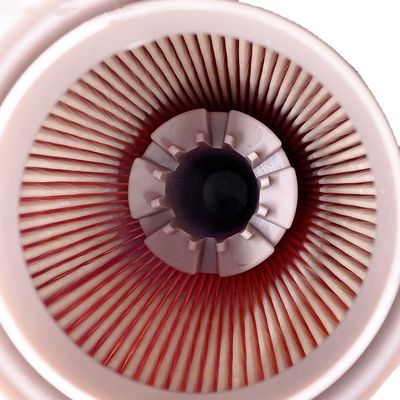 2 kg brandstoffilterelement RE520906 voor ingenieursmachines met kerncomponenten 3 maanden